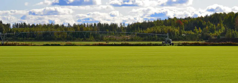 Bespoke Pumping Solutions for the UK’s Largest Turf Grower