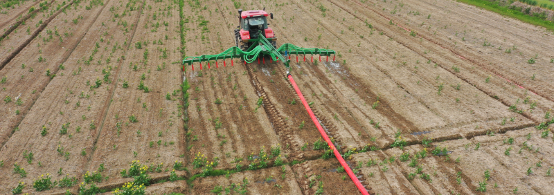 T-T Team Celebrates 40 Years of Lamma at NEC Birmingham