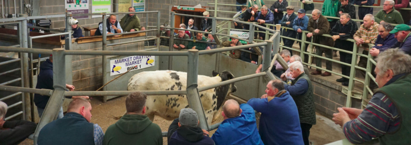 Optimised Pumping Solution for Barbers Cattle Market