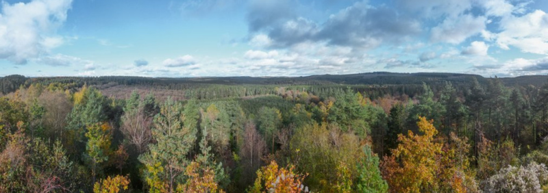 Emergency Non-Slam Check Valves for Forest of Dean