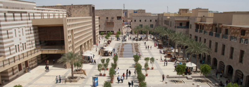 Double Hinged Flap Valves for The American University in Cairo