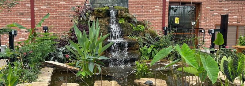 Submersible Water Feature Pump for Butterfly House