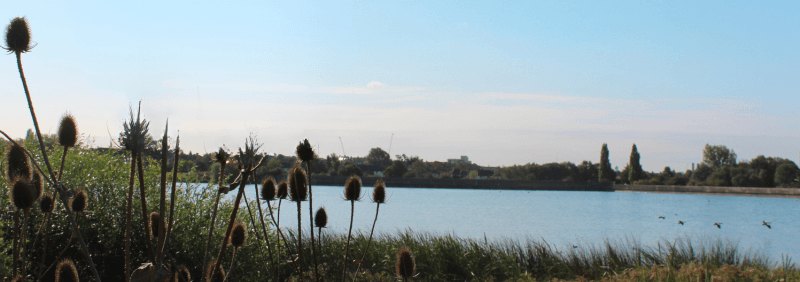 Securing Water Supply with Butterfly Isolation Valves