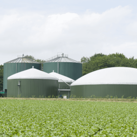Anaerobic Digestion