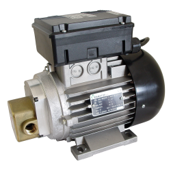 Lubricant gear pump