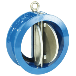 Twin plate check valve for backflow prevention.