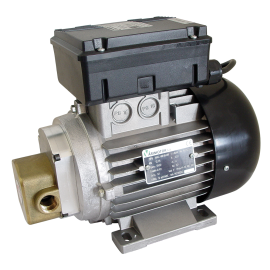 Lubricant gear pump