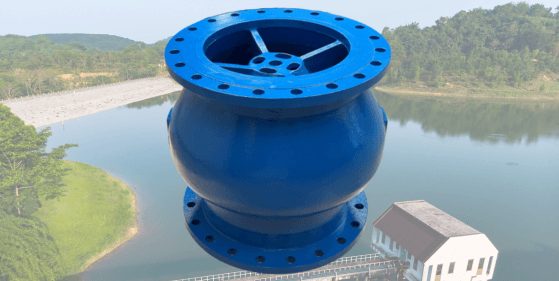 Check valve from T-T Flow.