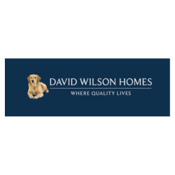 David Wilson homes