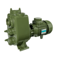 Surface mounted centrifugal pump.
