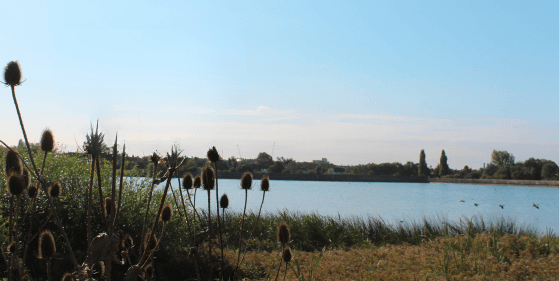 Water supply reservoir.