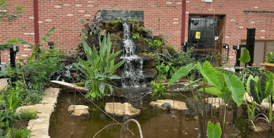 Tropical Butterfly House in Sheffield.